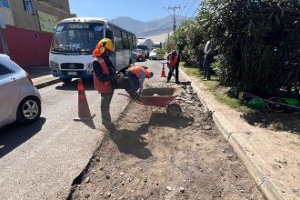 PHOTO-2025-03-24-12-53-05 4.jpg